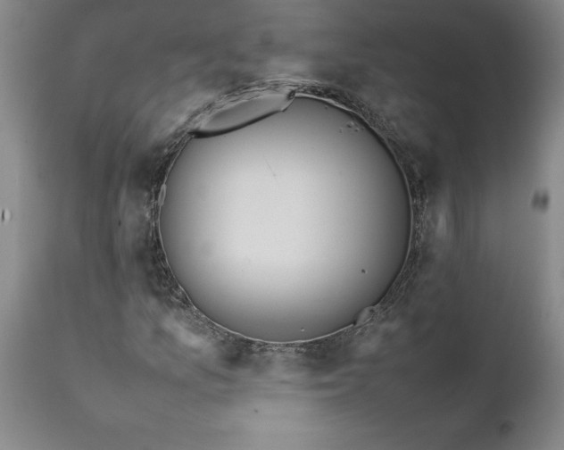 X0000111811157200907301226