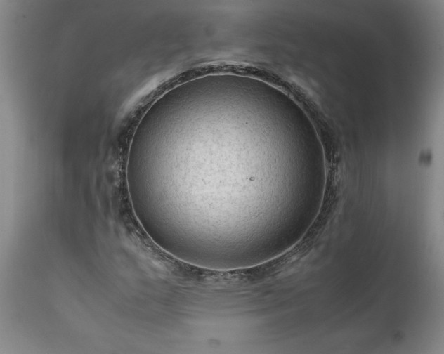 X0000111811159200907301226