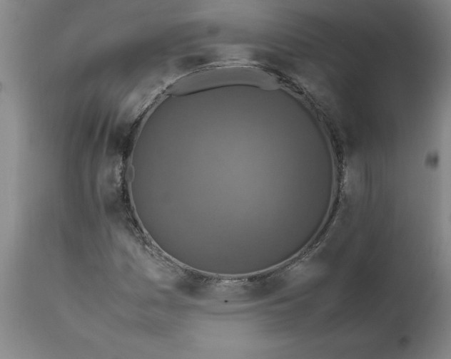 X0000111811161200907301226