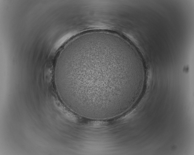 X0000111811163200907301226