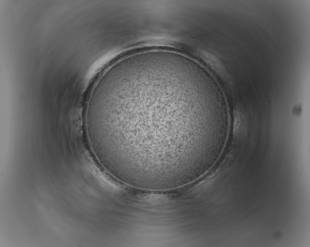 X0000111811164200907301226