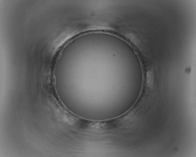 X0000111811165200907301226