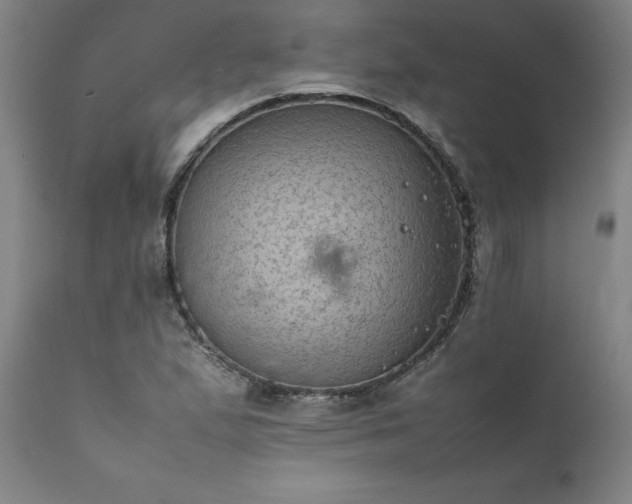 X0000111811167200907301226