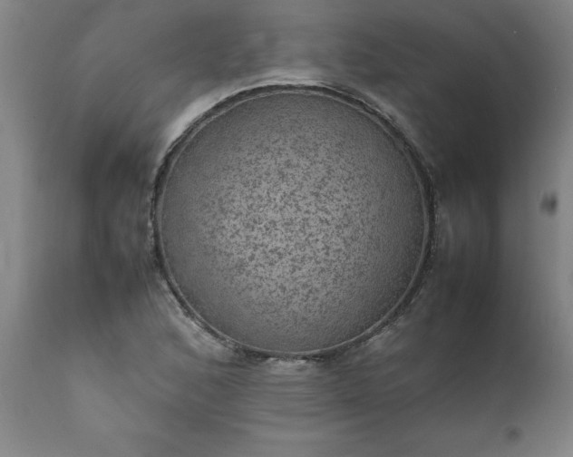 X0000111811168200907301226