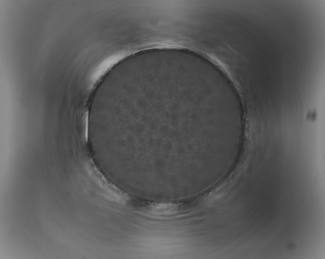 X0000111811171200907301226
