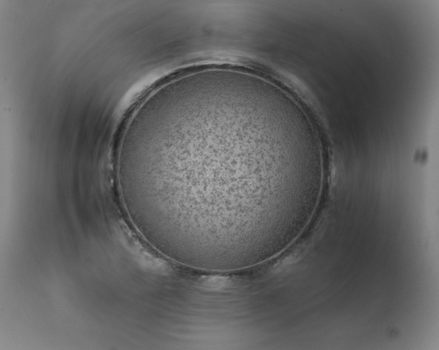 X0000111811172200907301226