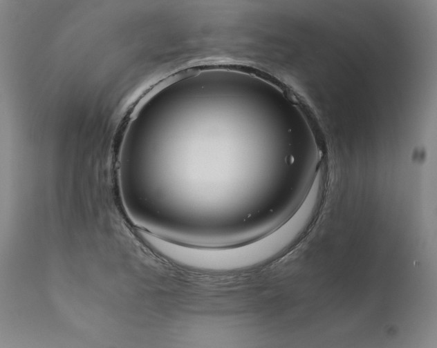 X0000111811173200907301226