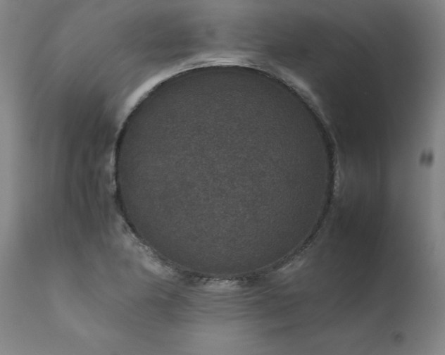 X0000111811174200907301226