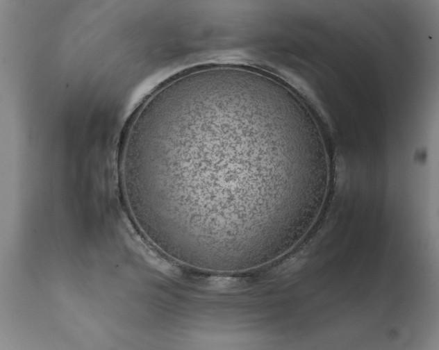 X0000111811176200907301226