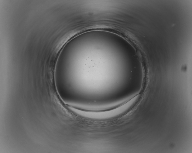 X0000111811177200907301226