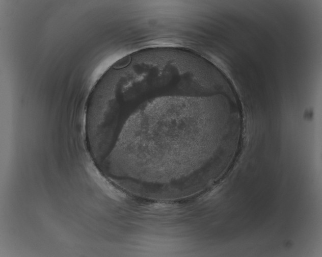 X0000111811179200907301226