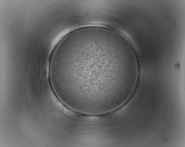 X0000111811180200907301226