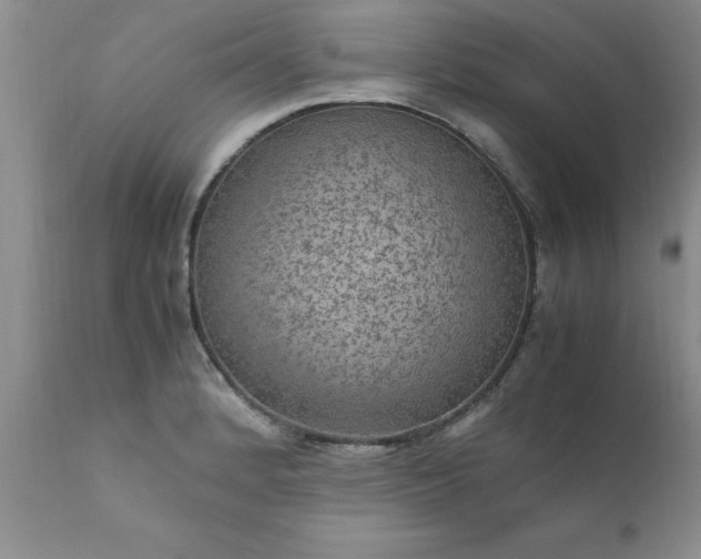 X0000111811184200907301226