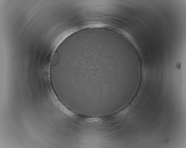 X0000111811186200907301226