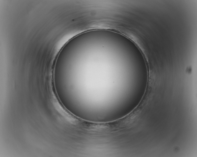X0000111811187200907301226