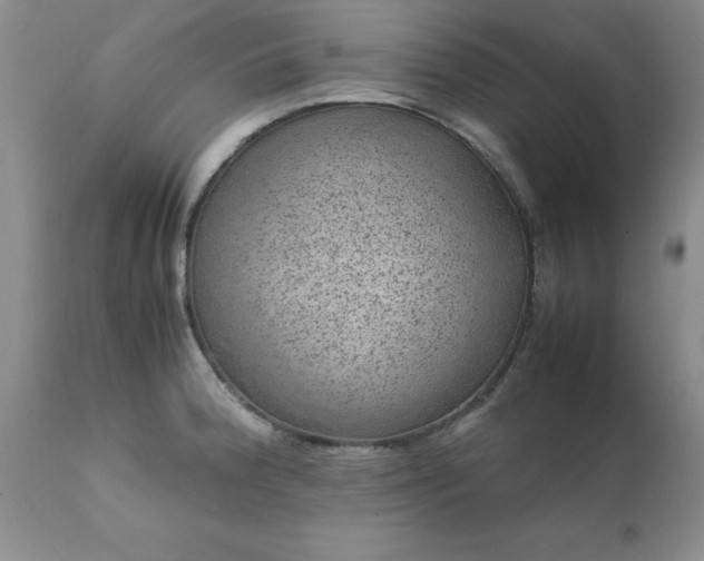 X0000111811188200907301226