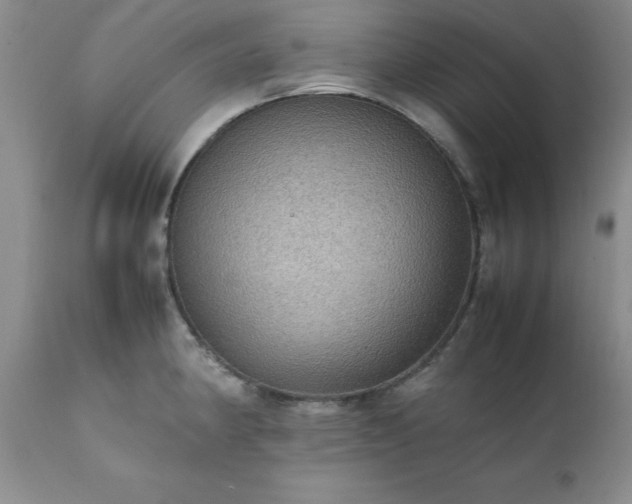 X0000111811190200907301226