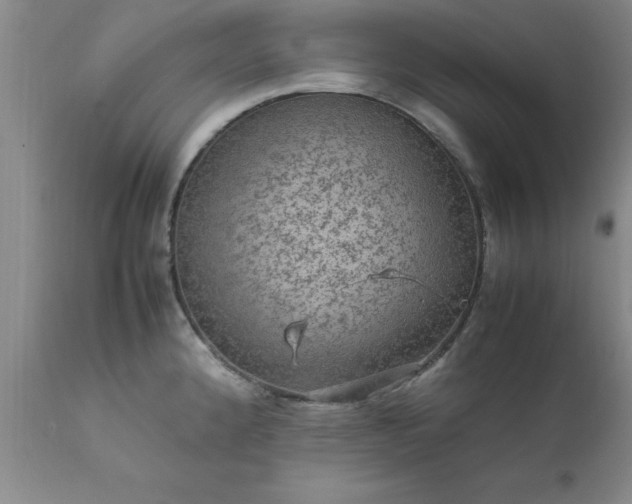 X0000111811192200907301226