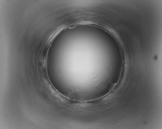 X0000111811193200907301226