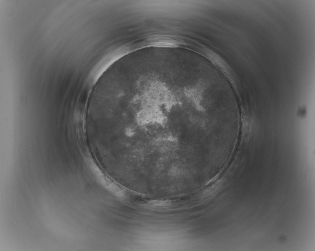 X0000111811194200907301226