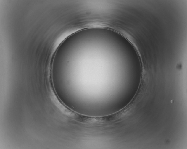 X0000111811195200907301226