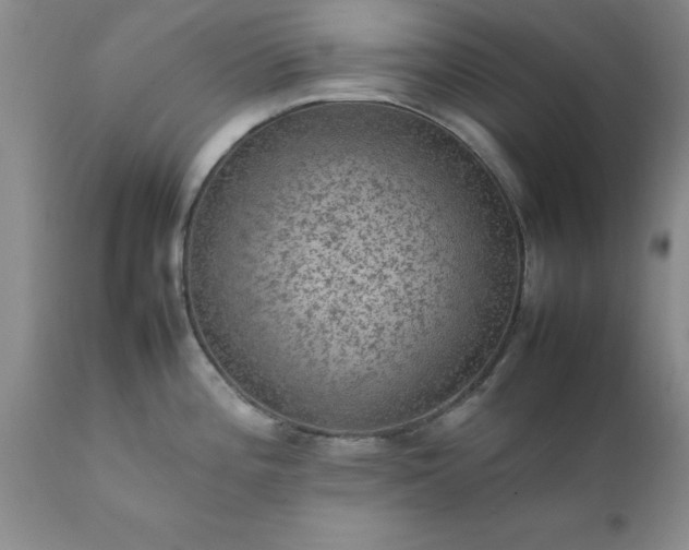 X0000111811196200907301226