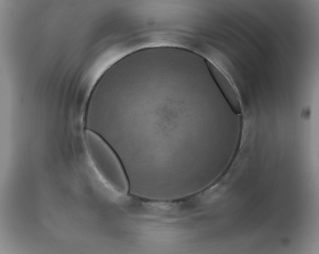 X0000111811197200907301226