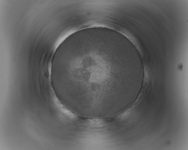 X0000111811198200907301226