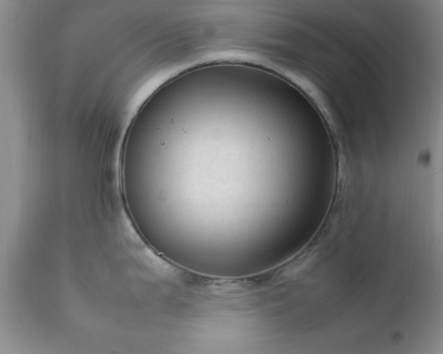 X0000111811199200907301226