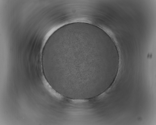 X0000111811200200907301226