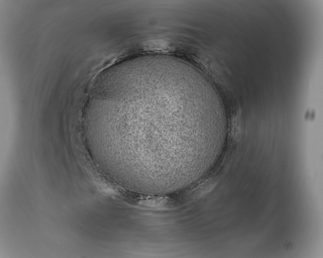X0000111811201200907301225