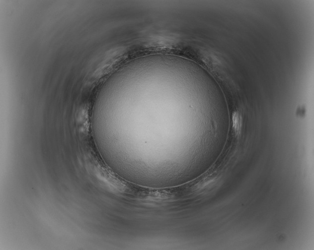 X0000111811203200907301225