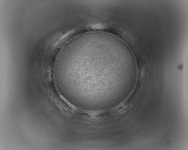 X0000111811205200907301225