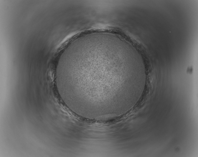 X0000111811206200907301225