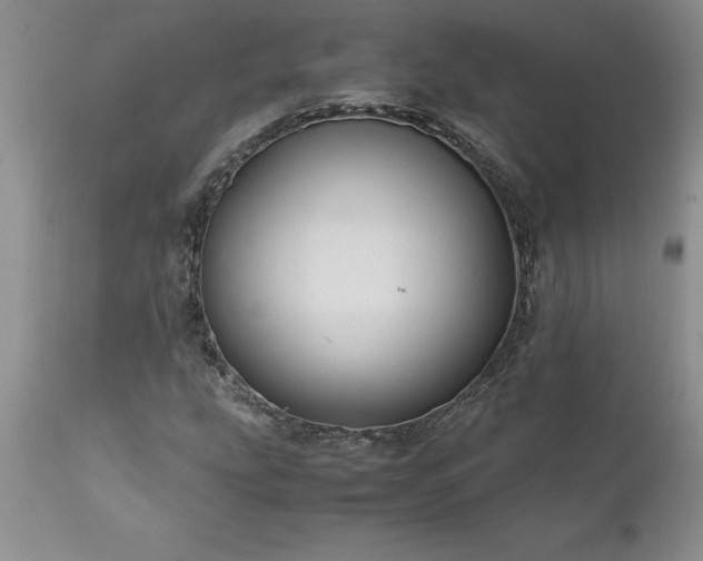 X0000111811207200907301225