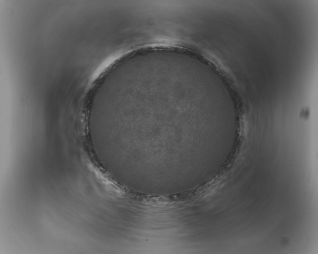 X0000111811208200907301225