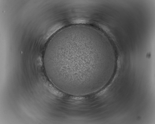 X0000111811209200907301225