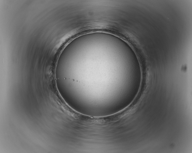 X0000111811210200907301225