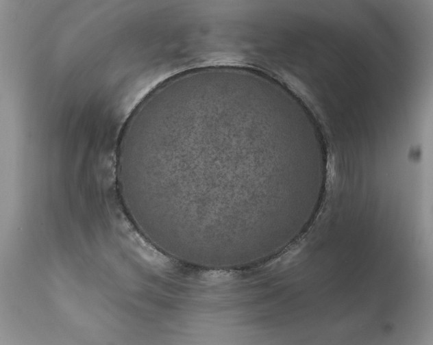X0000111811212200907301225