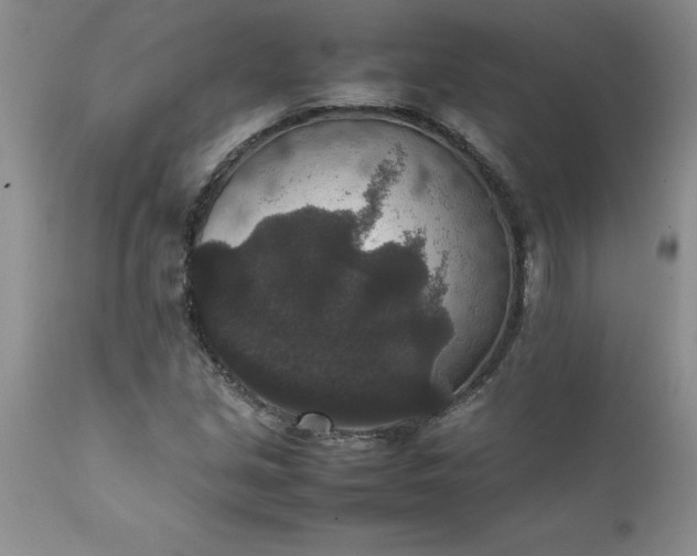 X0000111811213200907301225