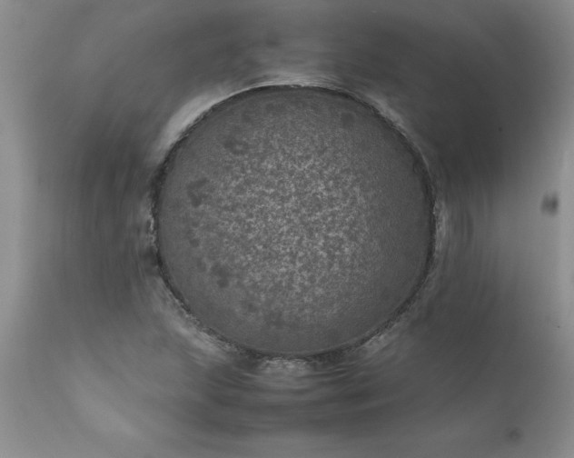 X0000111811215200907301225