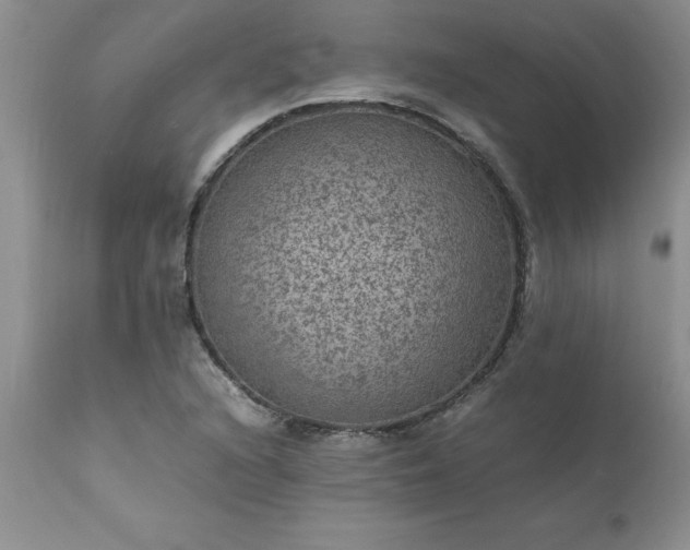X0000111811216200907301225