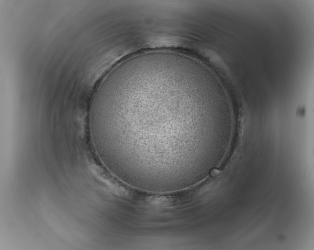 X0000111811217200907301225