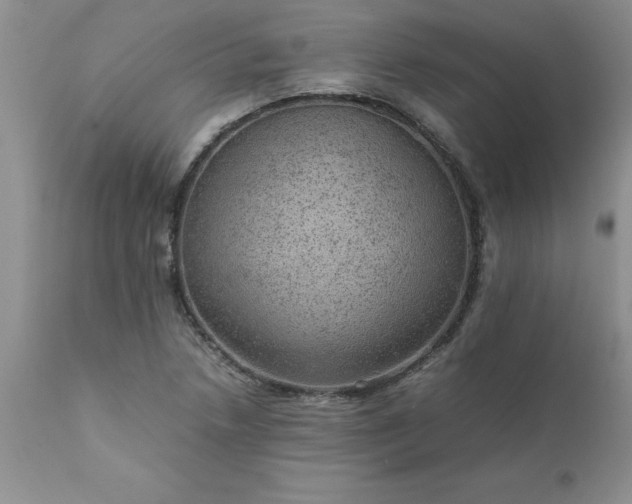 X0000111811218200907301225