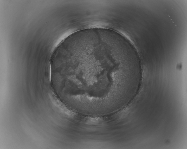 X0000111811219200907301225
