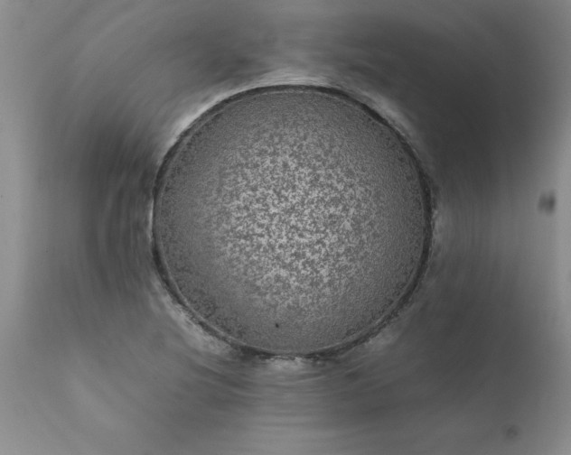 X0000111811220200907301225