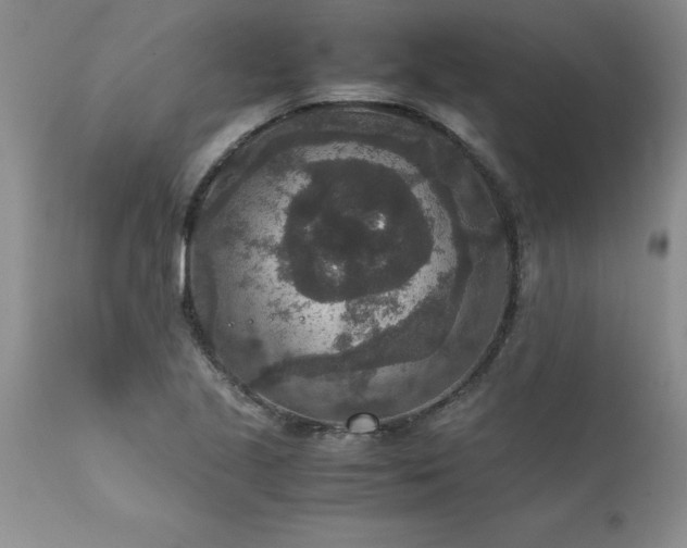 X0000111811221200907301225