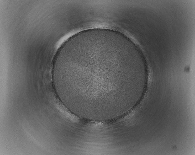 X0000111811222200907301225