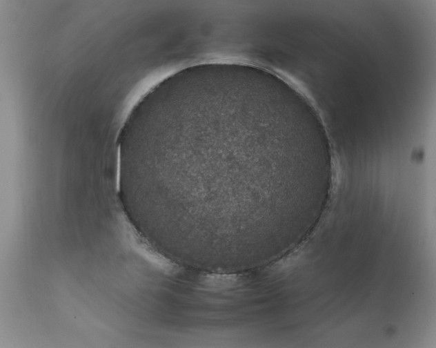 X0000111811223200907301225