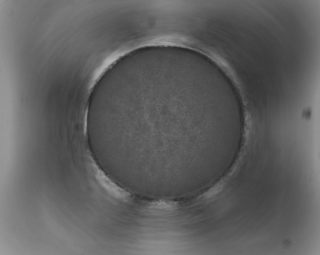 X0000111811224200907301225